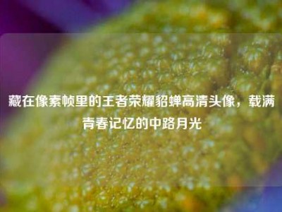 藏在像素帧里的王者荣耀貂蝉高清头像，载满青春记忆的中路月光