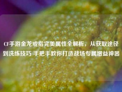 CF手游金龙戒指完美属性全解析，从获取途径到洗练技巧 手把手教你打造战场专属增益神器