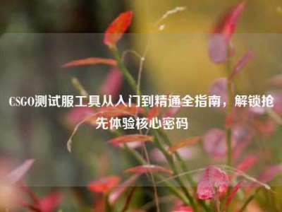 CSGO测试服工具从入门到精通全指南，解锁抢先体验核心密码