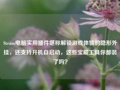 Steam电脑实用插件堪称解锁游戏体验的隐形外挂，还支持开机自启动，这些宝藏工具你都装了吗？