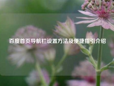 百度首页导航栏设置方法及便捷指引介绍