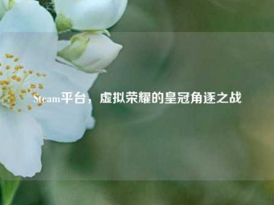 Steam平台，虚拟荣耀的皇冠角逐之战