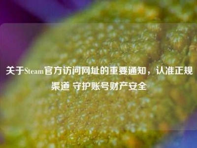 关于Steam官方访问网址的重要通知，认准正规渠道 守护账号财产安全