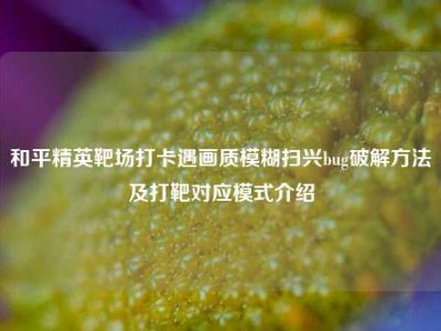 和平精英靶场打卡遇画质模糊扫兴bug破解方法及打靶对应模式介绍