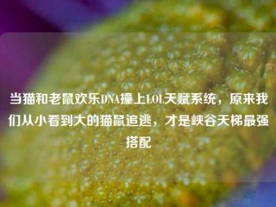 当猫和老鼠欢乐DNA撞上LOL天赋系统，原来我们从小看到大的猫鼠追逃，才是峡谷天梯最强搭配