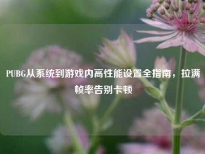 PUBG从系统到游戏内高性能设置全指南，拉满帧率告别卡顿