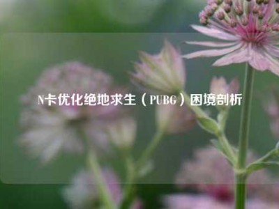 N卡优化绝地求生（PUBG）困境剖析