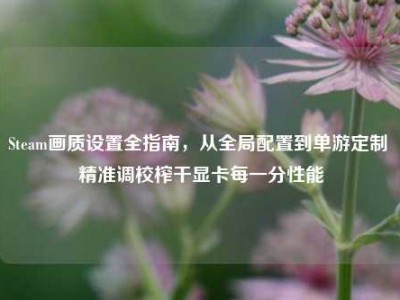Steam画质设置全指南，从全局配置到单游定制 精准调校榨干显卡每一分性能