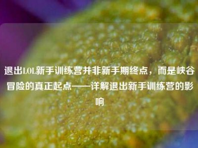 退出LOL新手训练营并非新手期终点，而是峡谷冒险的真正起点——详解退出新手训练营的影响