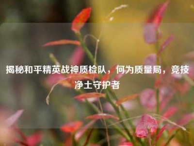 揭秘和平精英战神质检队，何为质量局，竞技净土守护者