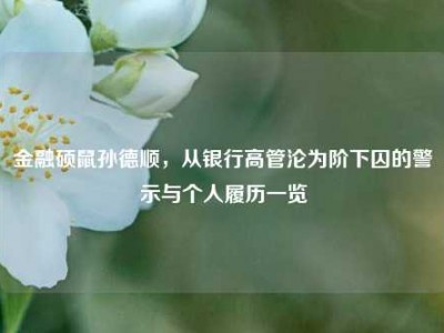 金融硕鼠孙德顺，从银行高管沦为阶下囚的警示与个人履历一览