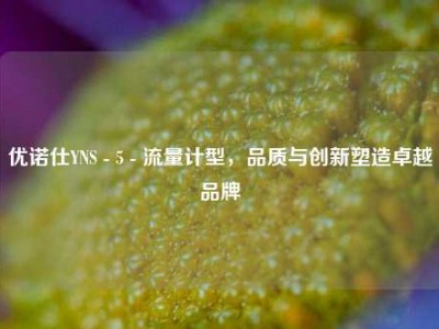 优诺仕YNS - 5 - 流量计型，品质与创新塑造卓越品牌