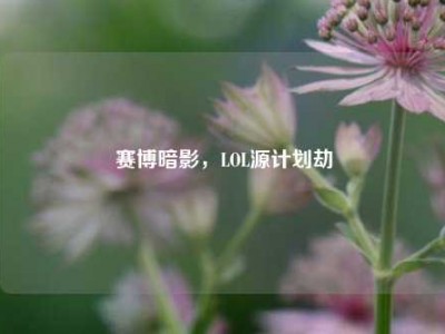 赛博暗影，LOL源计划劫