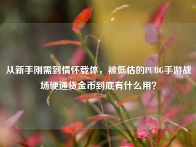 从新手刚需到情怀载体，被低估的PUBG手游战场硬通货金币到底有什么用？