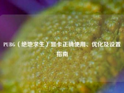 PUBG（绝地求生）显卡正确使用、优化及设置指南