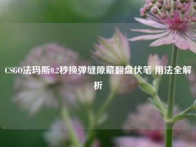 CSGO法玛斯0.2秒换弹缝隙藏翻盘伏笔 用法全解析