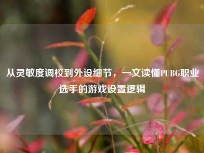 从灵敏度调校到外设细节，一文读懂PUBG职业选手的游戏设置逻辑