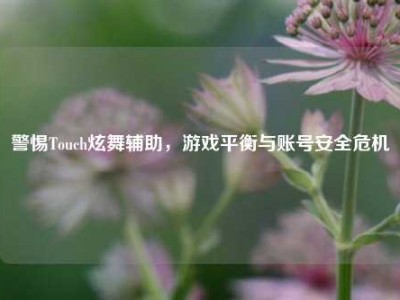 警惕Touch炫舞辅助，游戏平衡与账号安全危机