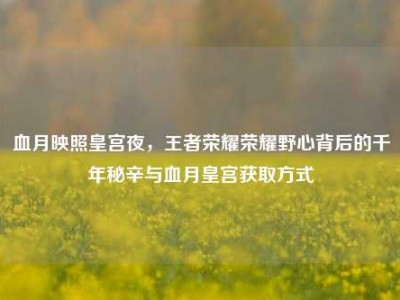 血月映照皇宫夜，王者荣耀荣耀野心背后的千年秘辛与血月皇宫获取方式