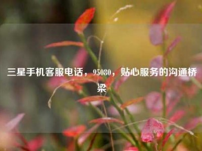 三星手机客服电话，95080，贴心服务的沟通桥梁