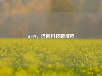 W309，迈向科技新征程