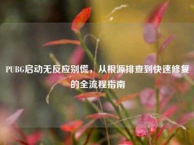 PUBG启动无反应别慌，从根源排查到快速修复的全流程指南