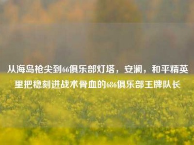 从海岛枪尖到66俱乐部灯塔，安澜，和平精英里把稳刻进战术骨血的686俱乐部王牌队长