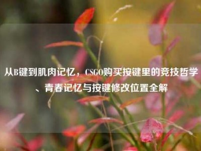 从B键到肌肉记忆，CSGO购买按键里的竞技哲学、青春记忆与按键修改位置全解