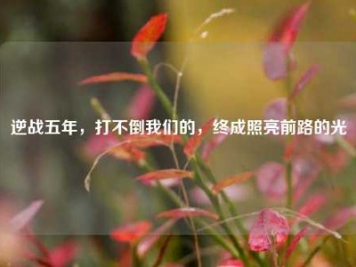 逆战五年，打不倒我们的，终成照亮前路的光