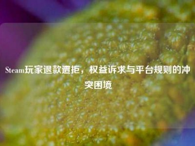 Steam玩家退款遭拒，权益诉求与平台规则的冲突困境