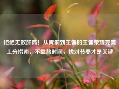 拒绝无效肝局！从青铜到王者的王者荣耀完美上分指南，不靠熬时间，找对节奏才是关键