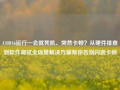 COD16运行一会就死机、突然卡顿？从硬件排查到软件调试全场景解决方案帮你告别闪退卡顿