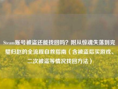 Steam账号被盗还能找回吗？附从惊魂失落到完璧归赵的全流程自救指南（含被盗后买游戏、二次被盗等情况找回方法）