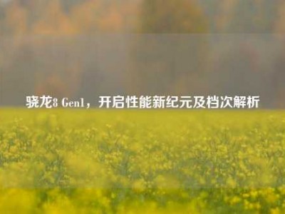 骁龙8 Gen1，开启性能新纪元及档次解析