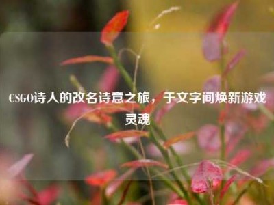 CSGO诗人的改名诗意之旅，于文字间焕新游戏灵魂