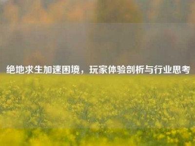 绝地求生加速困境，玩家体验剖析与行业思考