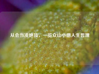 从会当凌绝顶，一览众山小悟人生哲理
