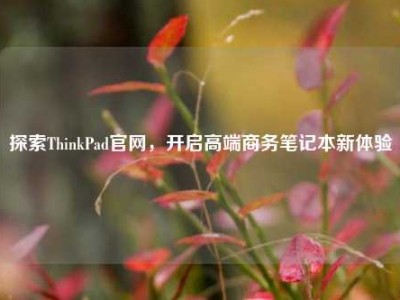探索ThinkPad官网，开启高端商务笔记本新体验