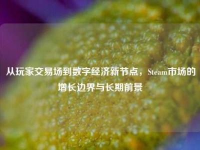 从玩家交易场到数字经济新节点，Steam市场的增长边界与长期前景
