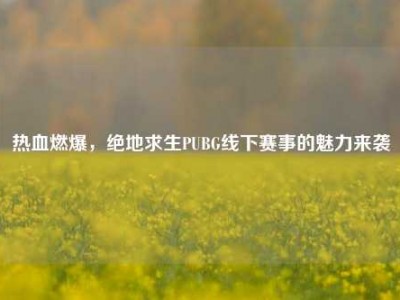 热血燃爆，绝地求生PUBG线下赛事的魅力来袭