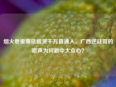烟火巷里嘶吼唱哭千万普通人，广西逆战哥的歌声为何戳中大众心？
