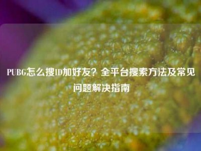 PUBG怎么搜ID加好友？全平台搜索方法及常见问题解决指南
