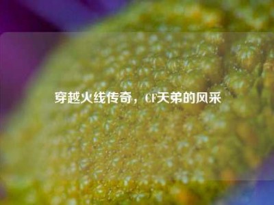 穿越火线传奇，CF天弟的风采