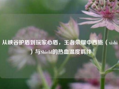 从峡谷护盾到玩家心盾，王者荣耀中西施（xishi）与Shield的热血温度羁绊