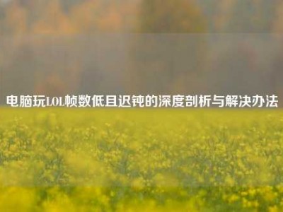 电脑玩LOL帧数低且迟钝的深度剖析与解决办法