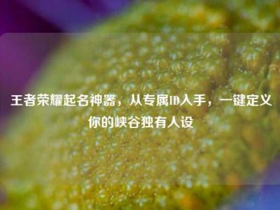 王者荣耀起名神器，从专属ID入手，一键定义你的峡谷独有人设
