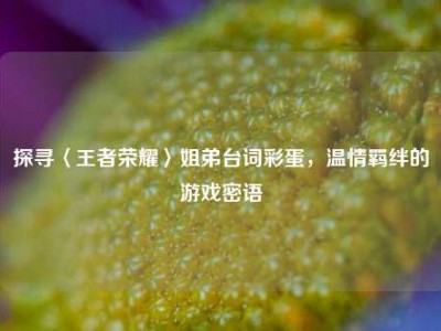 探寻〈王者荣耀〉姐弟台词彩蛋，温情羁绊的游戏密语