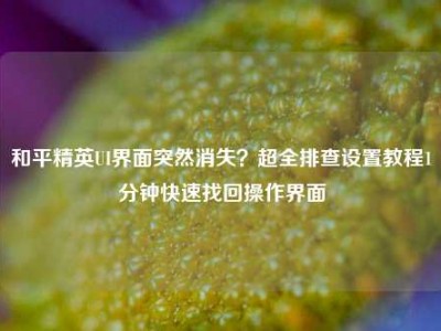 和平精英UI界面突然消失？超全排查设置教程1分钟快速找回操作界面