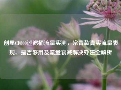 创星CF800过滤桶流量实测，常青款真实流量表现、是否够用及流量衰减解决办法全解析