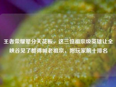 王者荣耀辈分天花板，这三位祖宗级英雄让全峡谷见了都得喊老祖宗，附玩家前十排名
